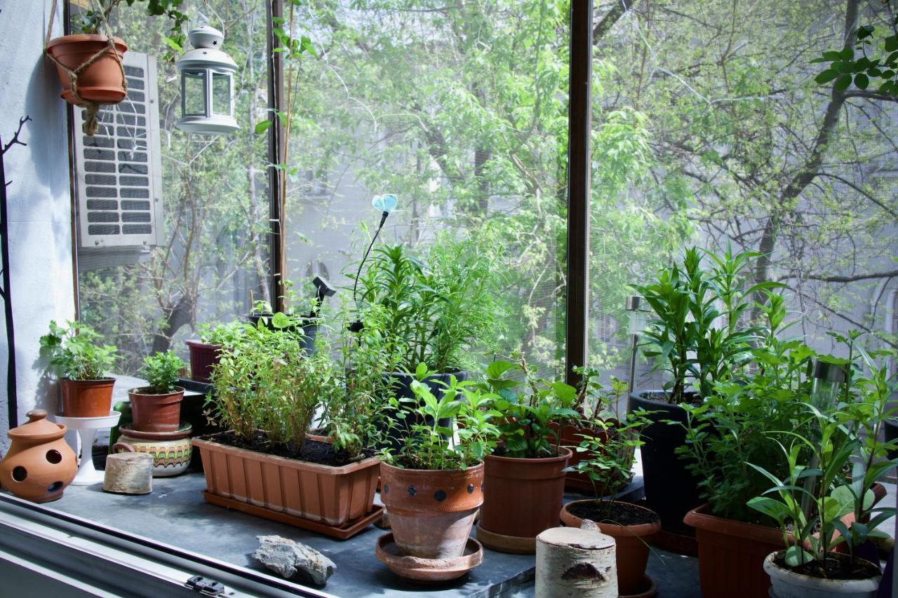 Mayahouse Bucarest Extérieur photo