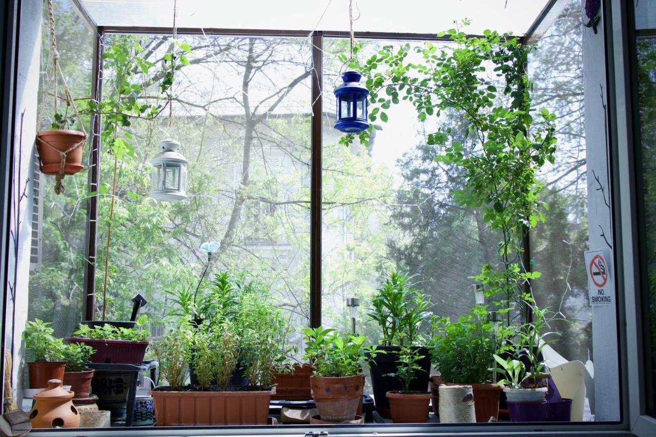 Mayahouse Bucarest Extérieur photo